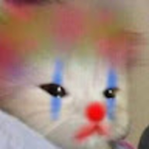 Meet your Posher, Raegan - Picture 1 of 1